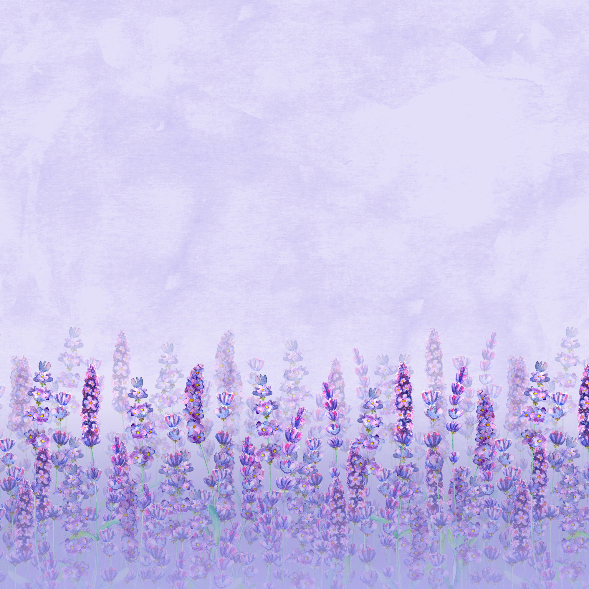Watercolor Lavender Field on Purple Background